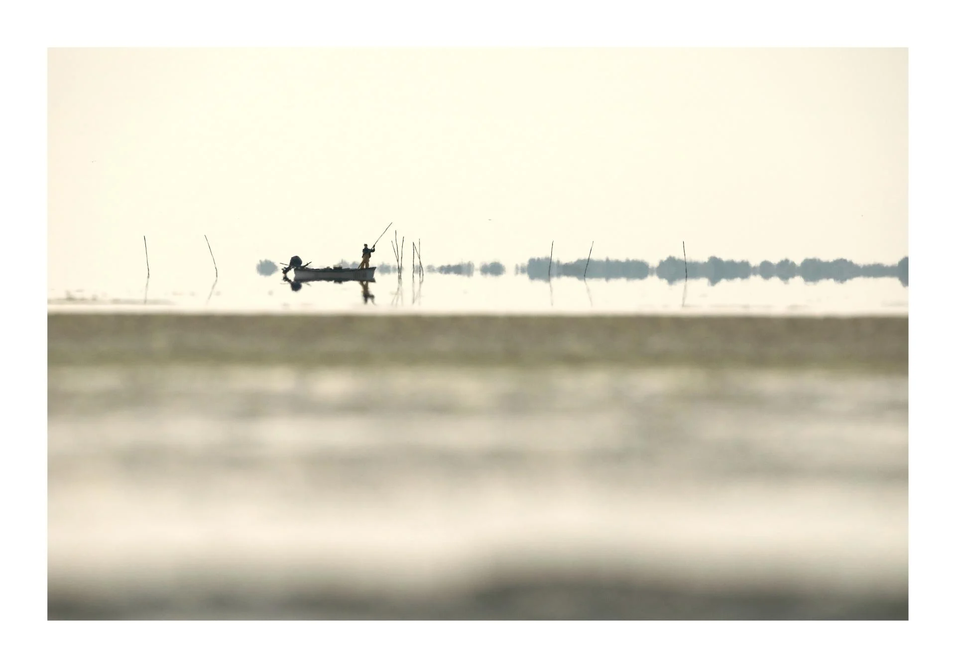 Pêcheur d'anguilles